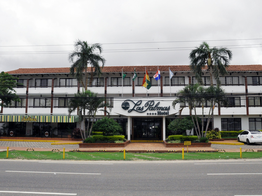 拉斯帕尔马斯酒店主图