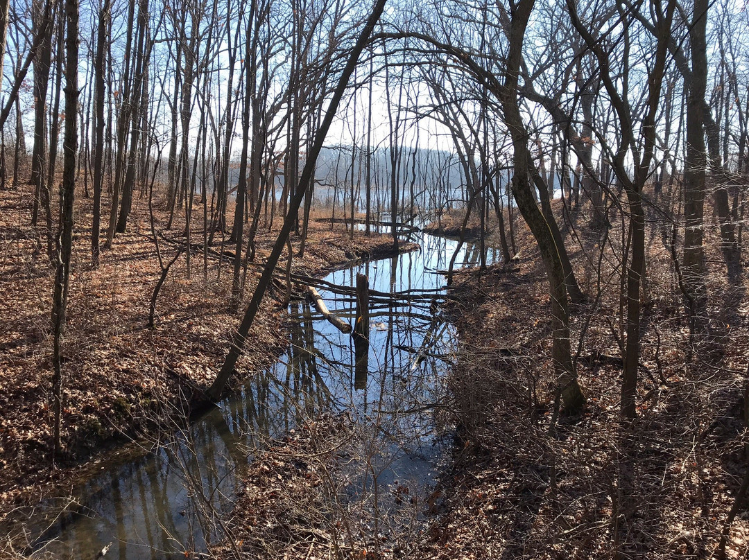 Lemon Lake County Park景点图片