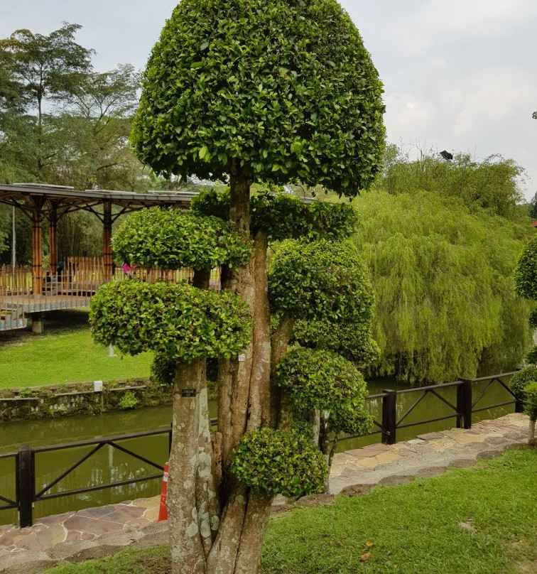 Botanical Garden-文冬必去景点