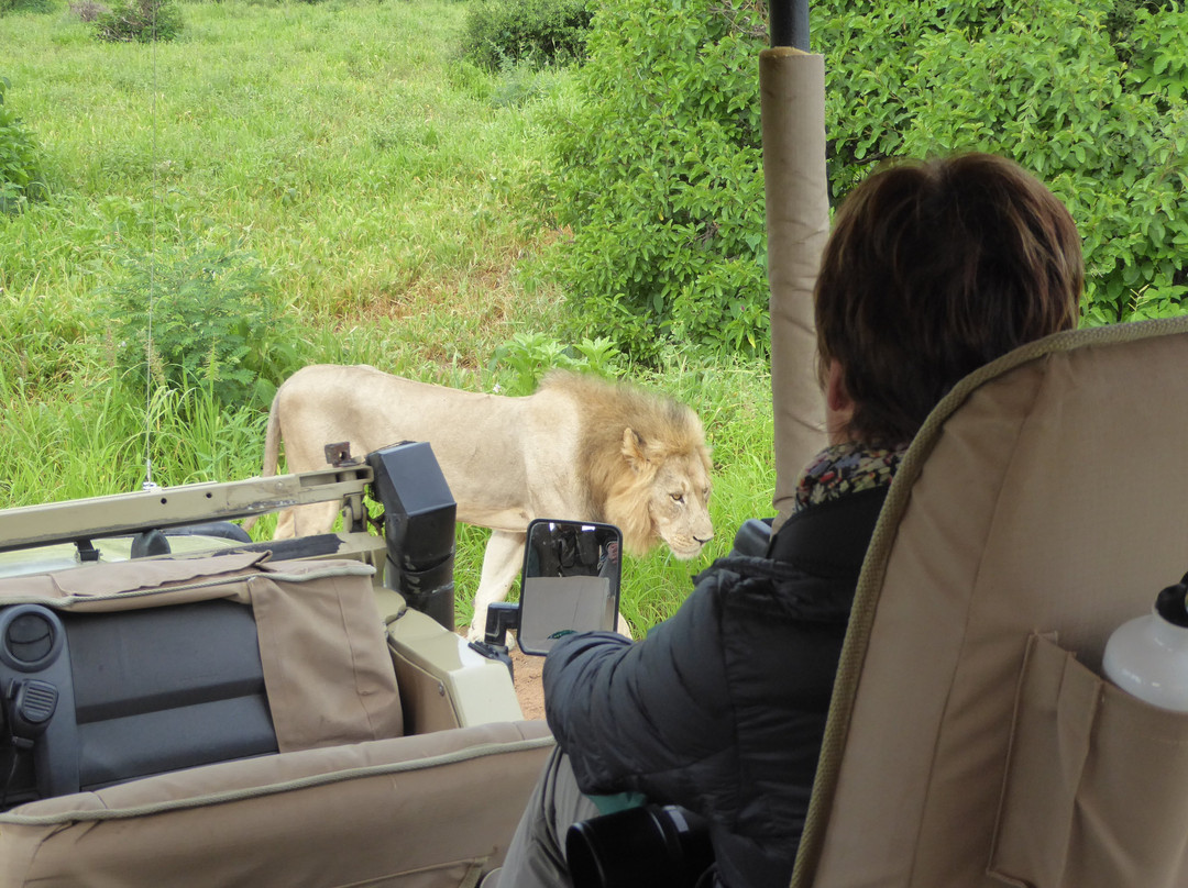 Selous Game Reserve景点图片