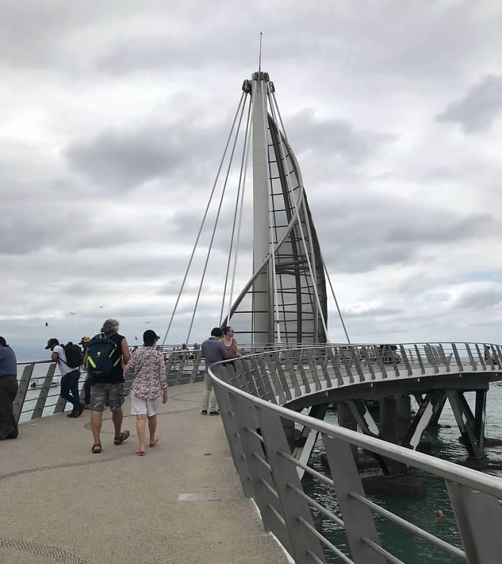 Muelle de Playa Los Muertos景点图片