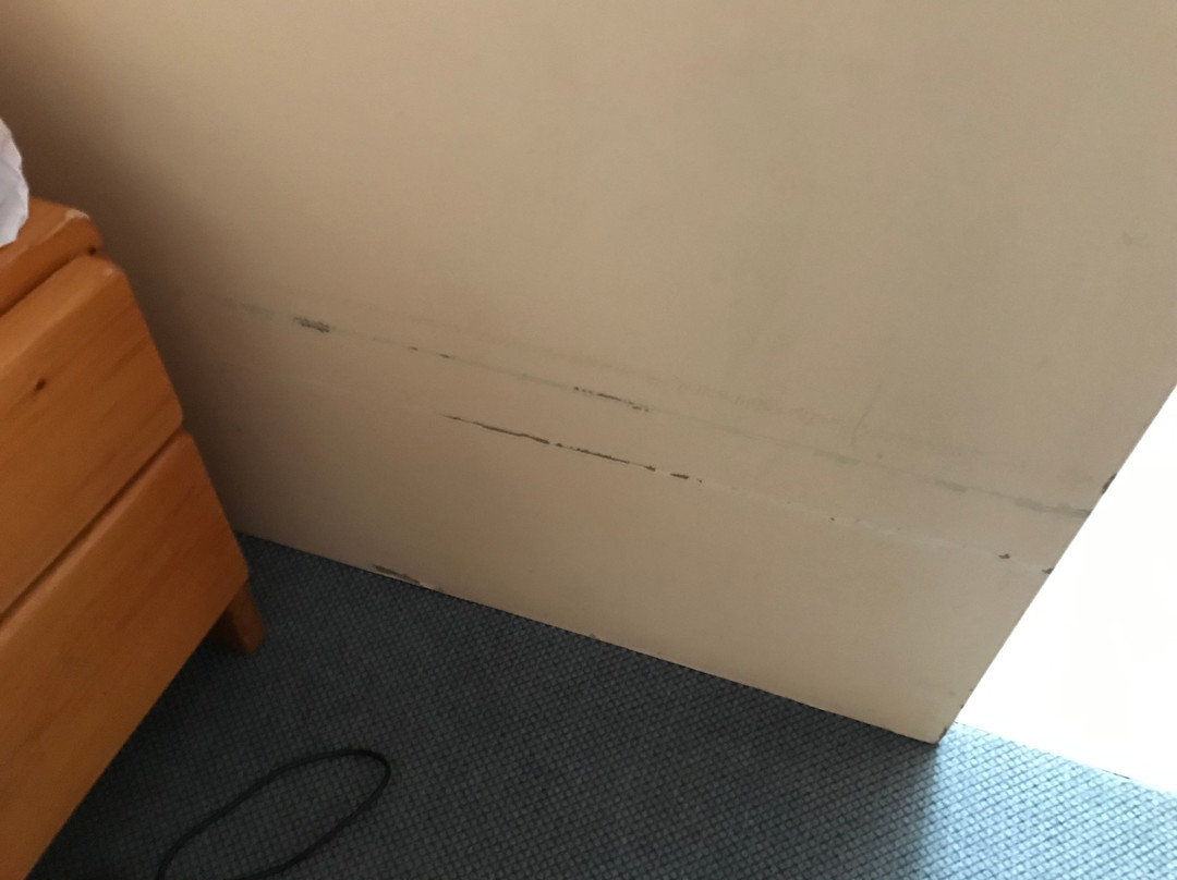 Odalys Essential Residence Résidence du Port主图