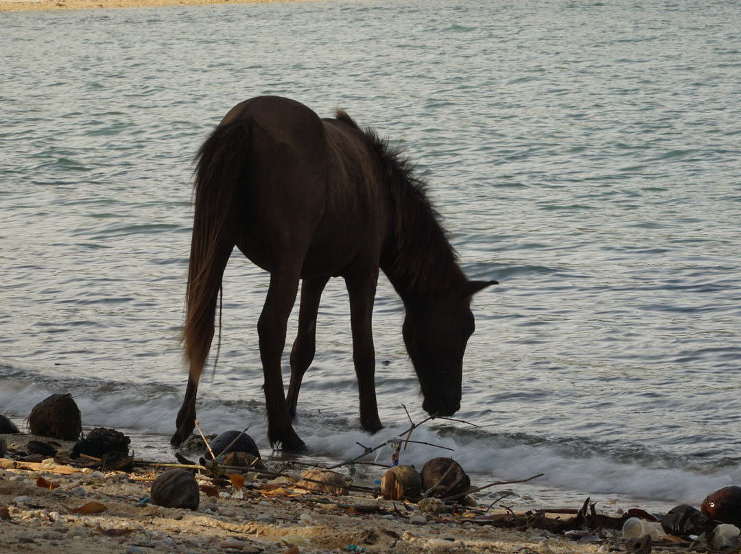 迪高岛度假村主图