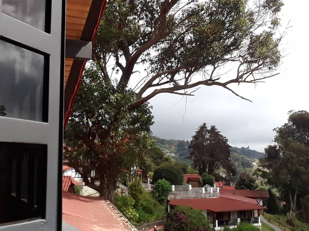 Hotel Selva Negra主图