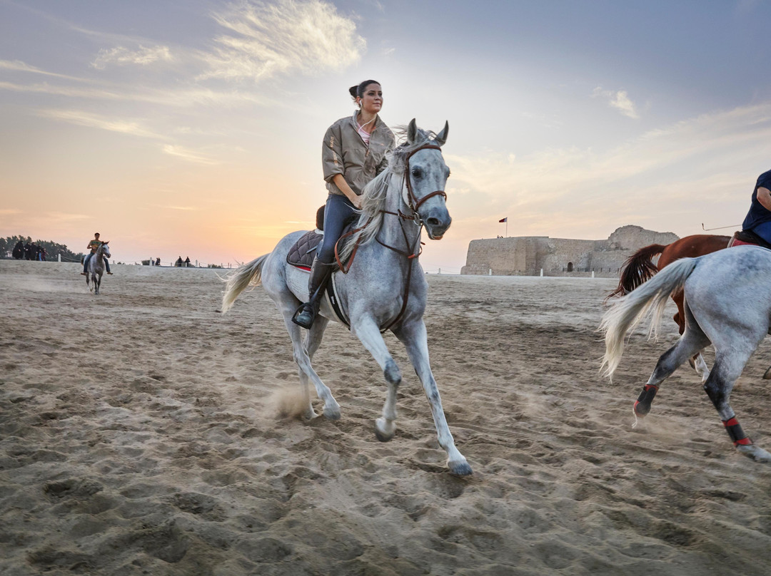 Visit Bahrain-麦纳麦必去景点