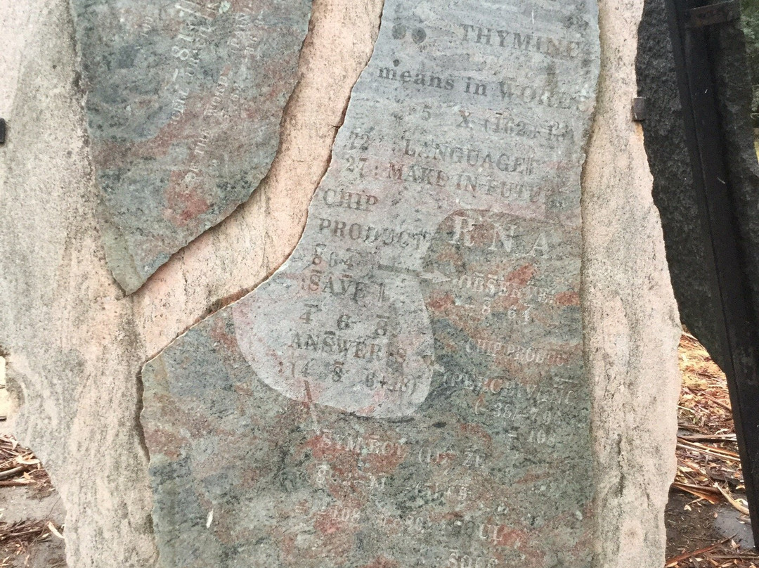 Sykes Sanctuary景点图片