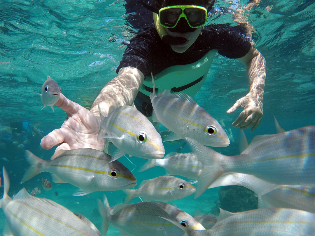 Parrachos de Maracajau-Natal必去景点