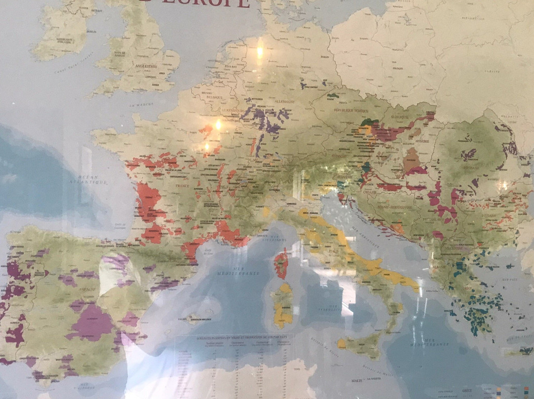 Ake Ake Vineyard-Kerikeri必去景点