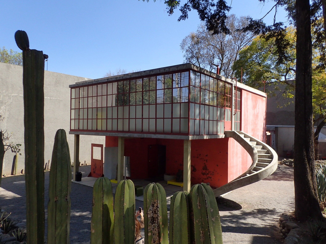 Museo Estudio Diego Rivera y Frida Kahlo景点图片