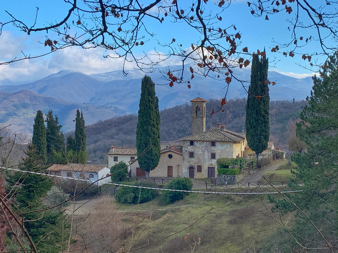 Chiesa di S. Andrea a Barbiana景点图片