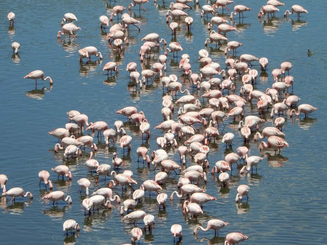 Momella Lakes-阿鲁沙必去景点