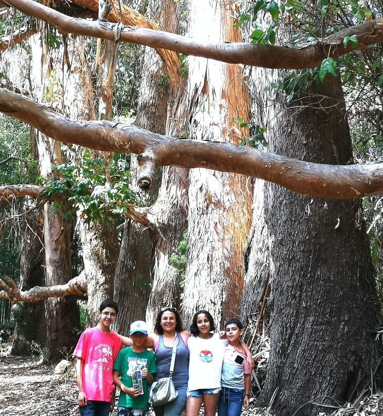 Reserva Nacional Federico Albert-Chanco必去景点