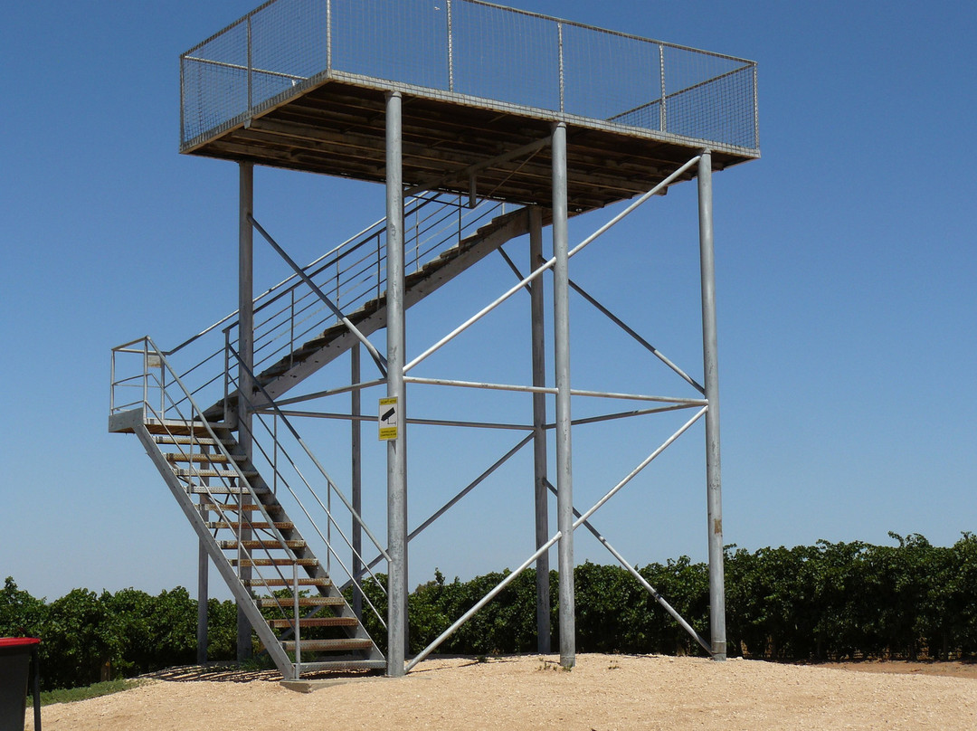Renmark Rotary Township Lookout Tower-Renmark必去景点