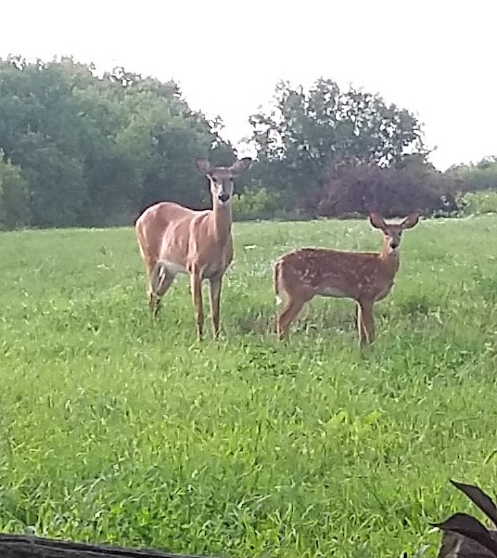 Almost Home Bed and Breakfast主图