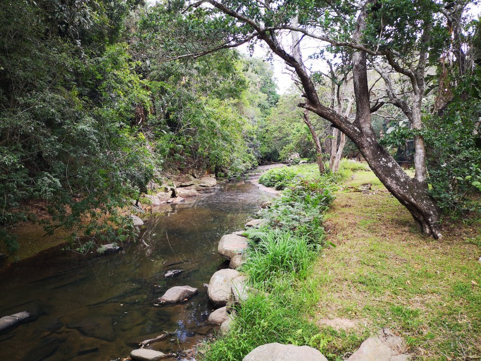 Paradise Valley Nature Reserve景点图片