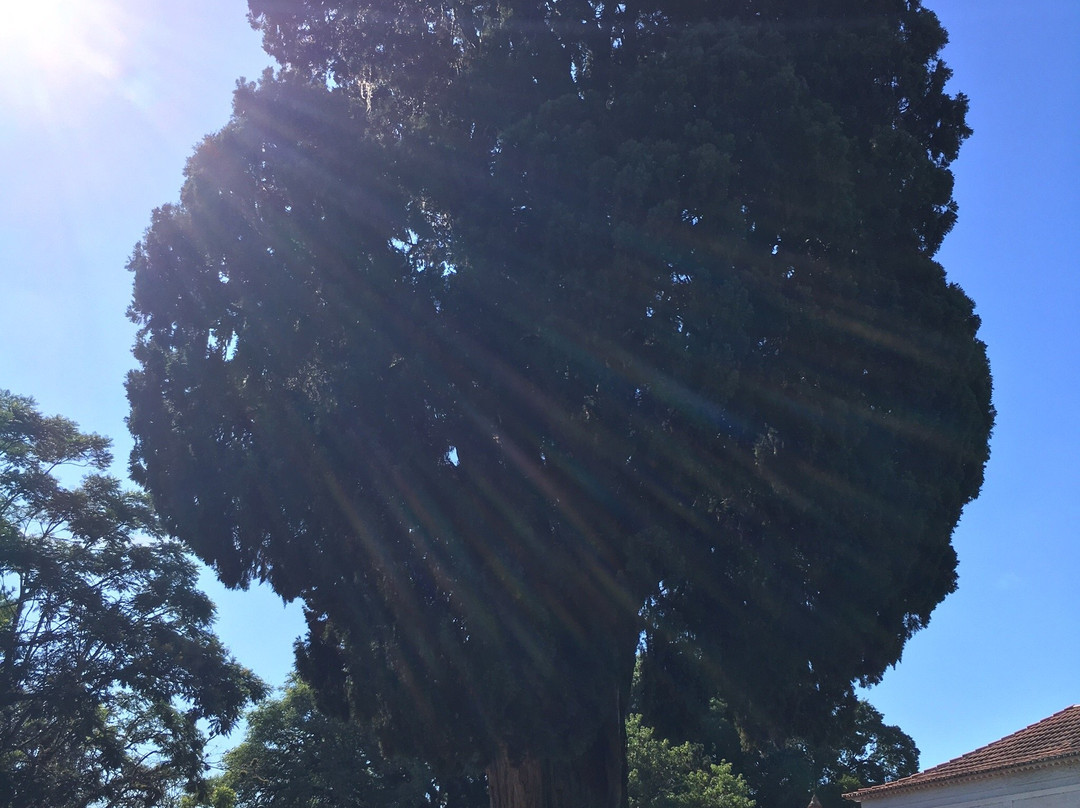 Cipestre Farroupilha-Guaiba必去景点