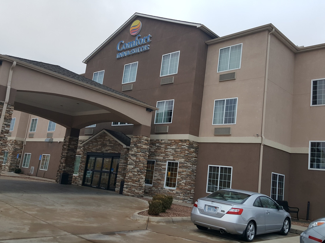 Comfort Inn & Suites Near Bethel College主图