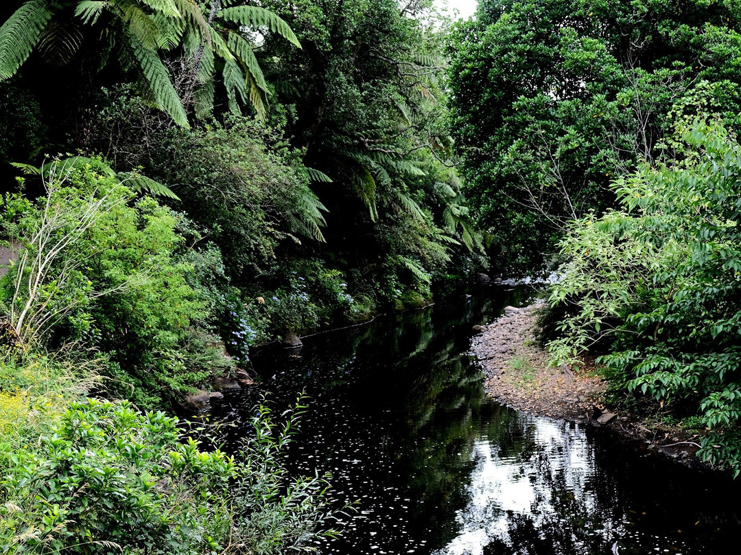 Te Henui Walkway景点图片