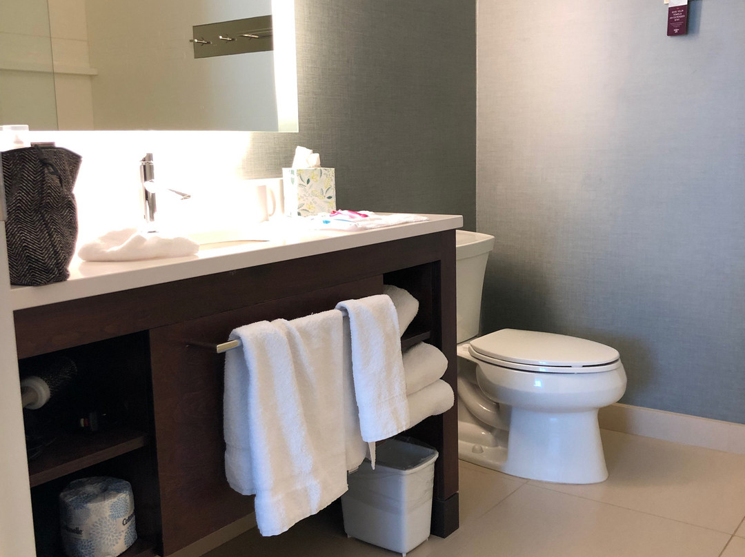 Residence Inn by Marriott East Lansing主图