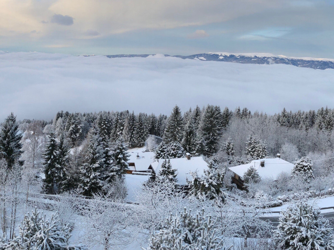 Alpenhotel Ozon Wolfgruber主图