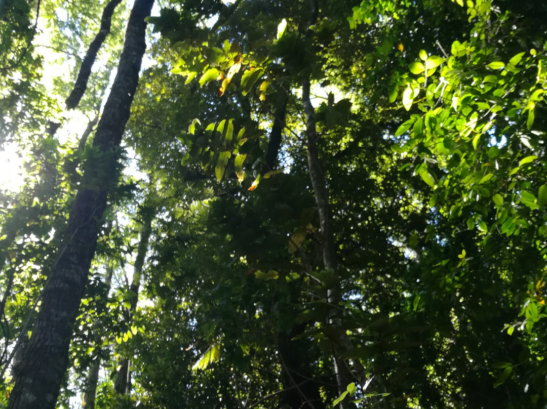 Reserva Forestal Edmundo Winkler-Frutillar必去景点