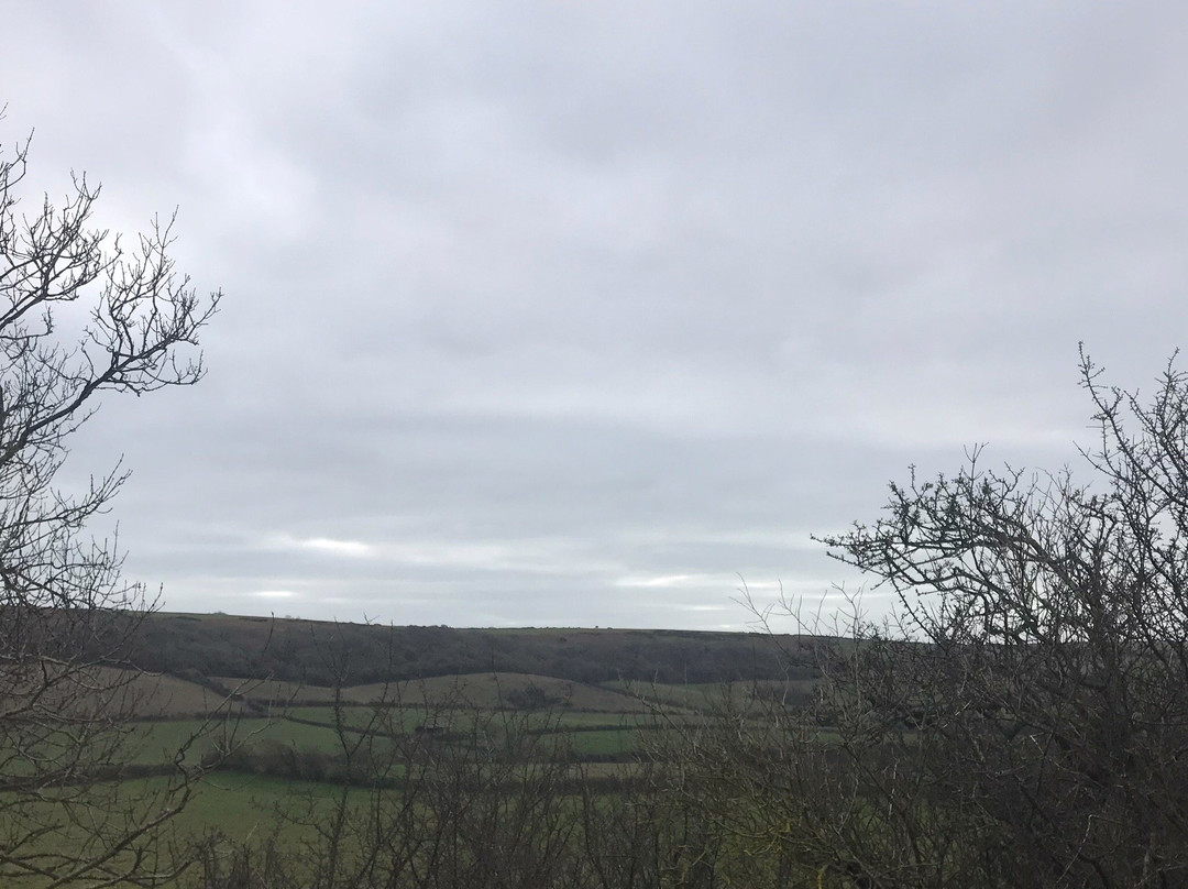 The Bonchurch Inn-文特诺必去景点