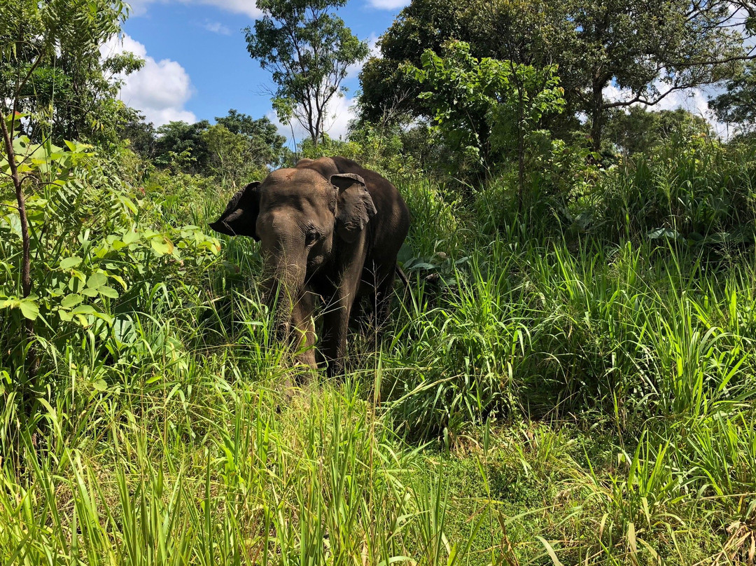 Aloha Lanka Tours-赛杜瓦必去景点