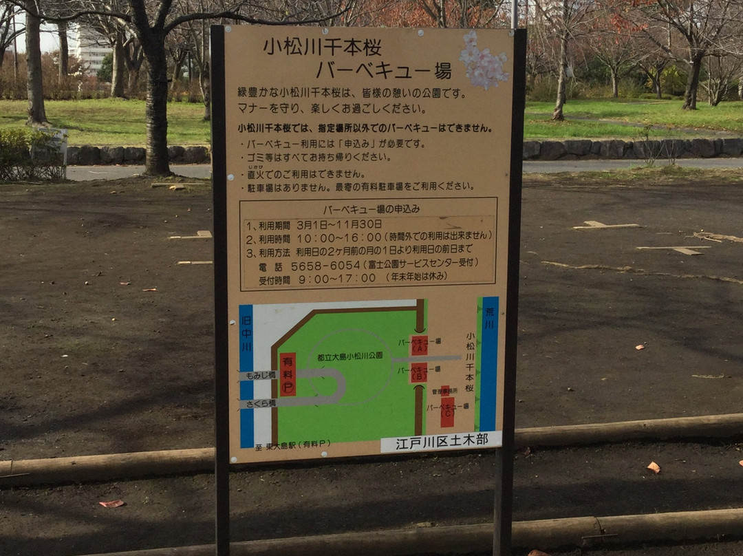 Komatsugawa Sembonzakura-江戸川区必去景点