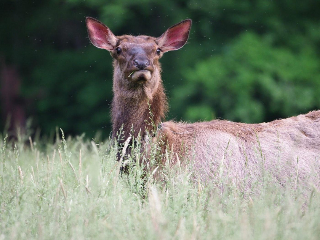 World Wide Photo Tours-Islip必去景点
