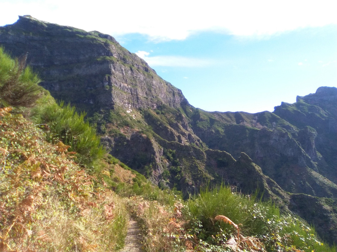 Pico Grande Trail景点图片