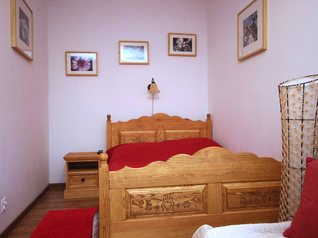 Borsuczyna Guest House主图