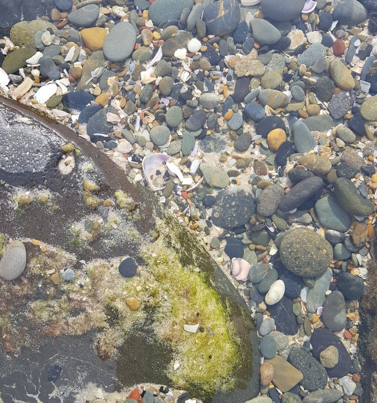 Lighthouse Beach景点图片