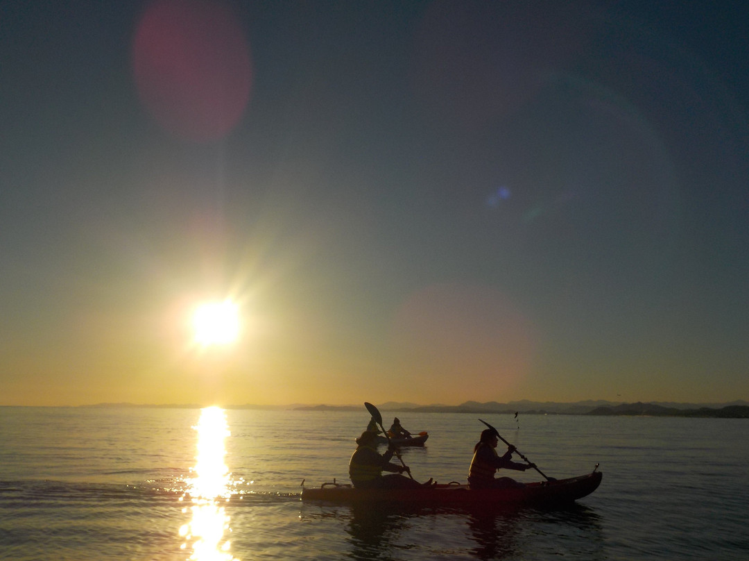 Yasu Umi no Eki Club-香南市必去景点