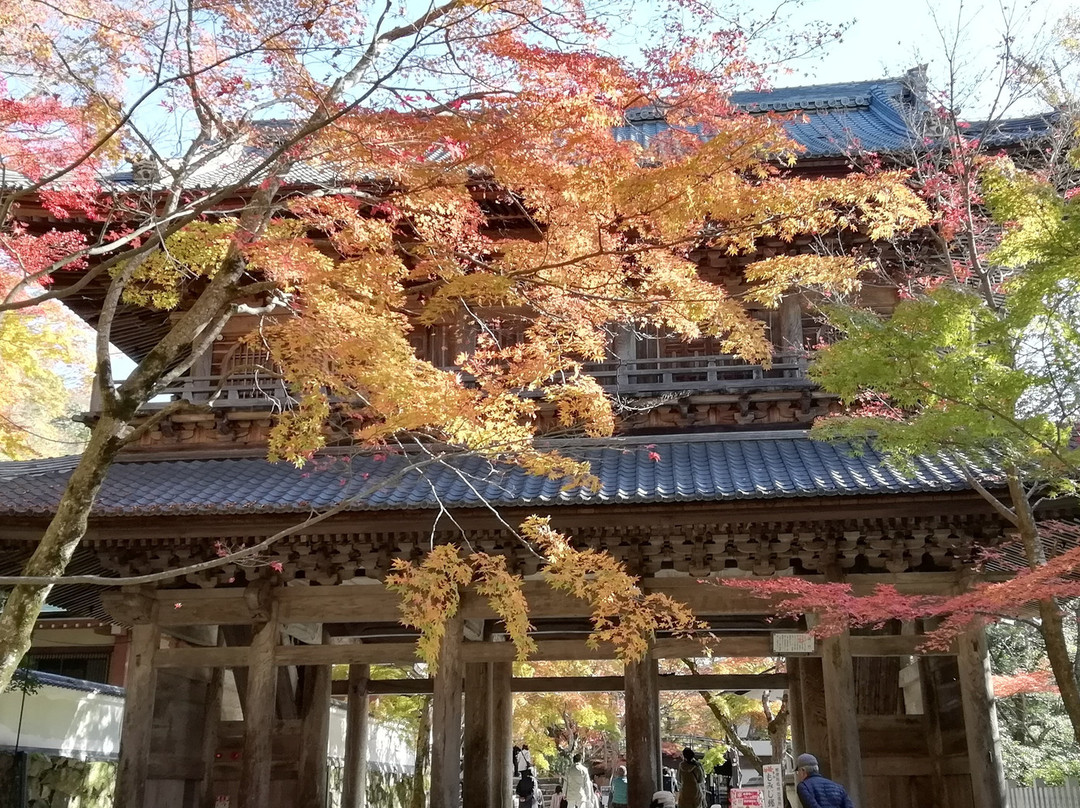 Eigen-ji Sammon