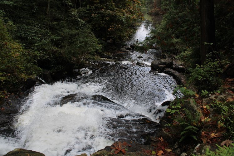 Crippen Regional Park-Bowen Island必去景点