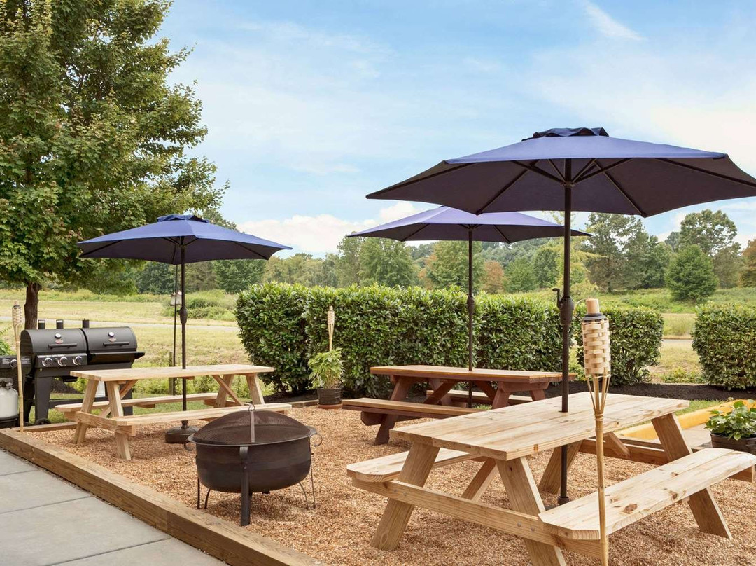 Microtel Inn & Suites by Wyndham Culpeper主图