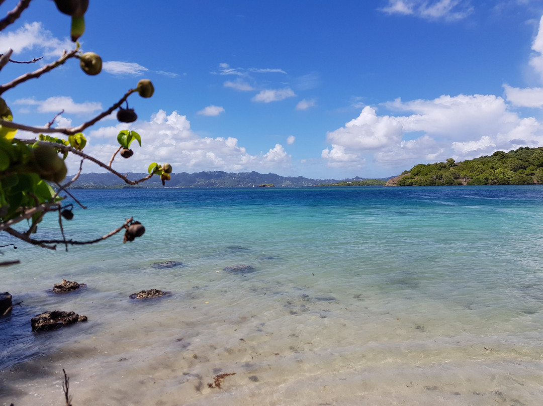 Anse-à-l'Ane-Trois-Ilets必去景点