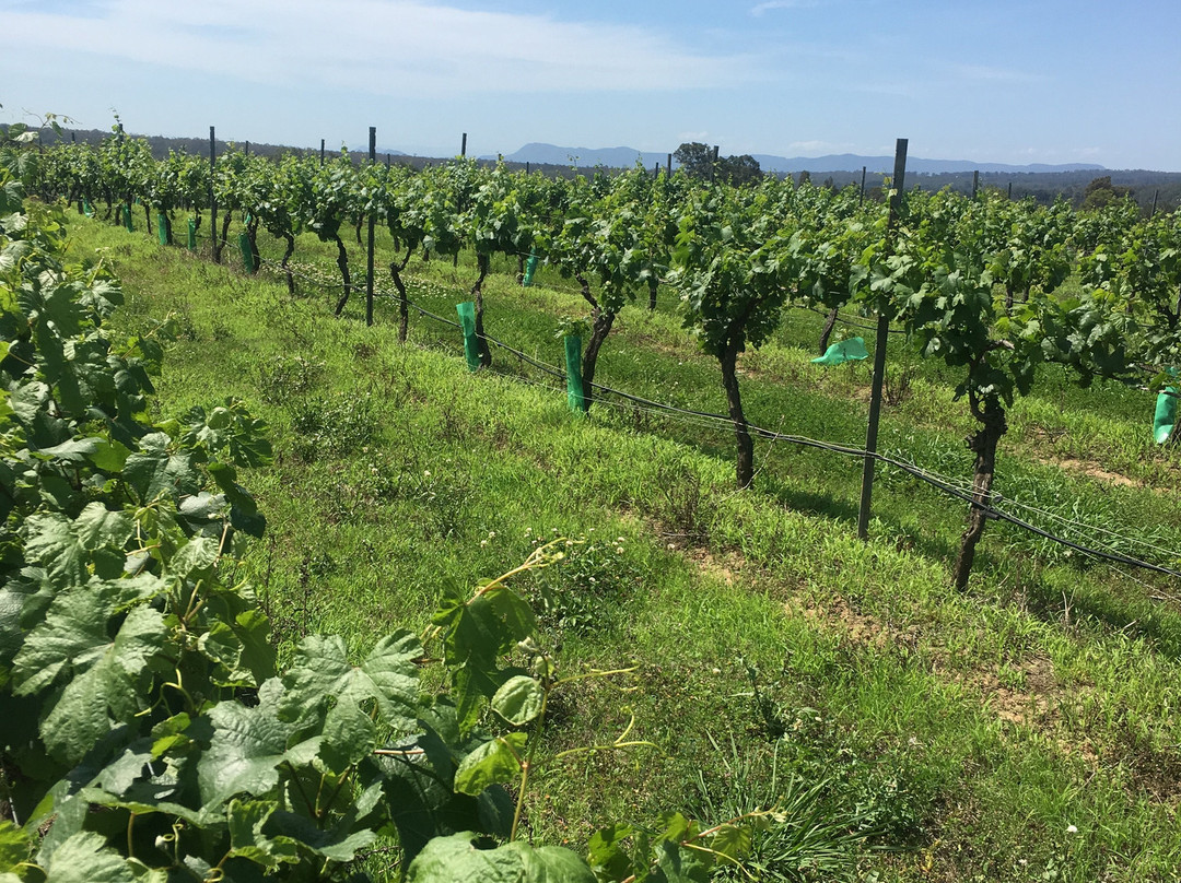 Blueberry Hill Vineyard Stay主图
