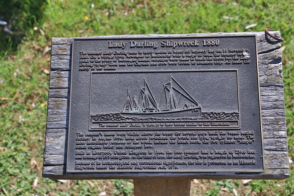 Lady Darling Shipwreck景点图片