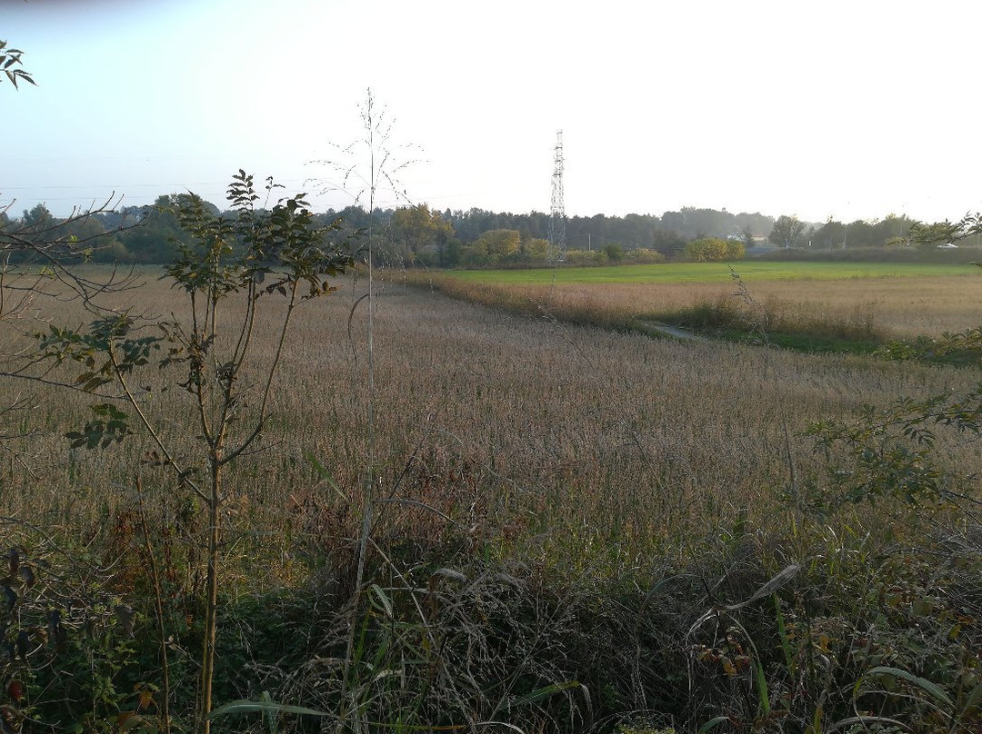 Parco Agronaturale della Dora Riparia-科莱尼奥必去景点