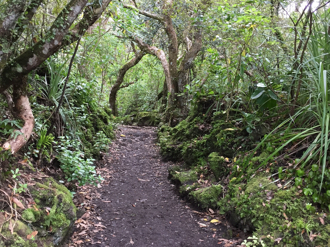 朗伊托托岛景点图片