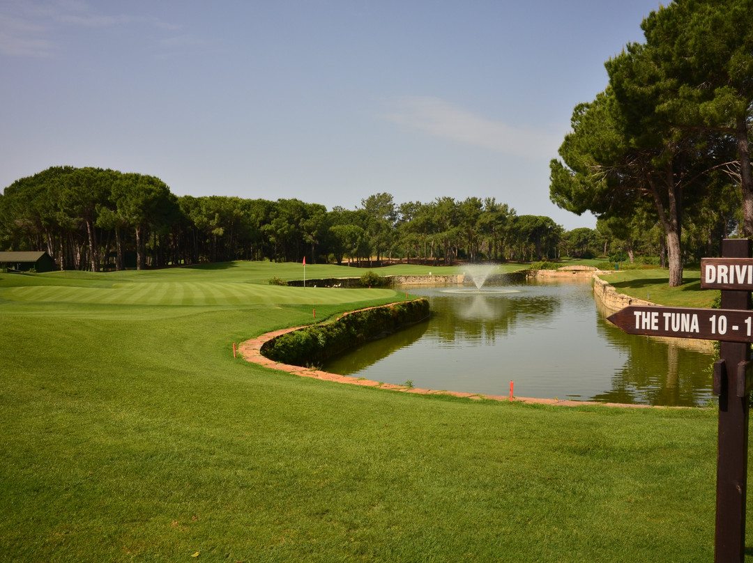 Golf Data TLC-西索美塞必去景点