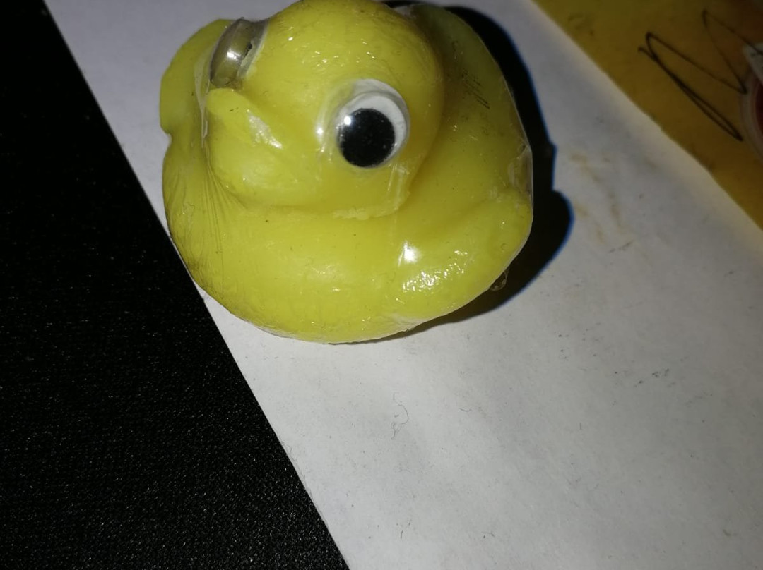 Mazowe旅游景点-Franjipanji