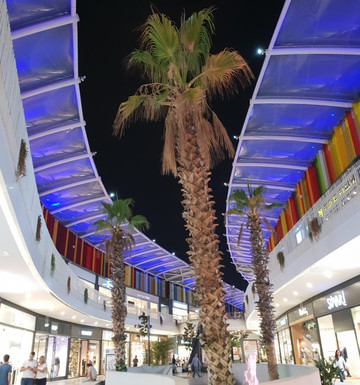 41 Avm-伊兹密特必去景点