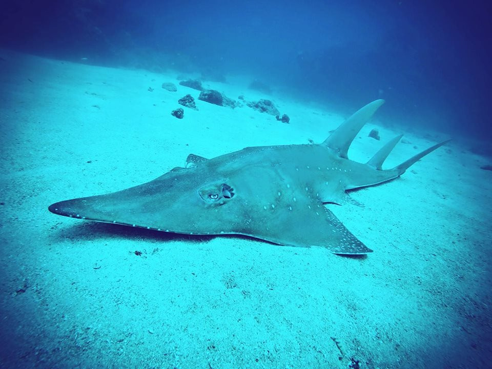 Andaman Discover Private Limited景点图片