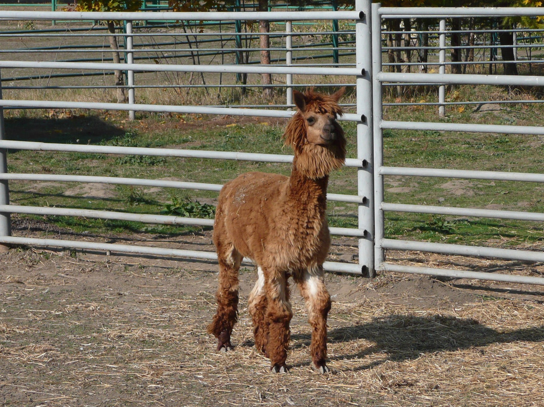 Vinnytsya Zoo-Vinnytsia必去景点