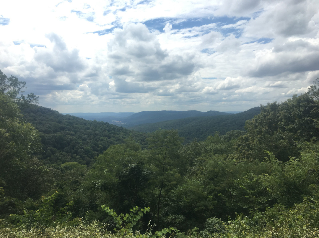 Monte Sano Nature Preserve-亨茨维尔必去景点