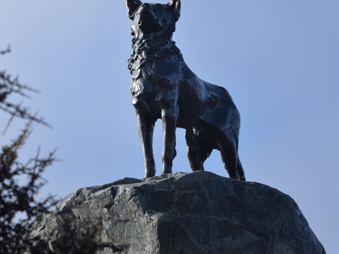 牧羊犬雕像景点图片