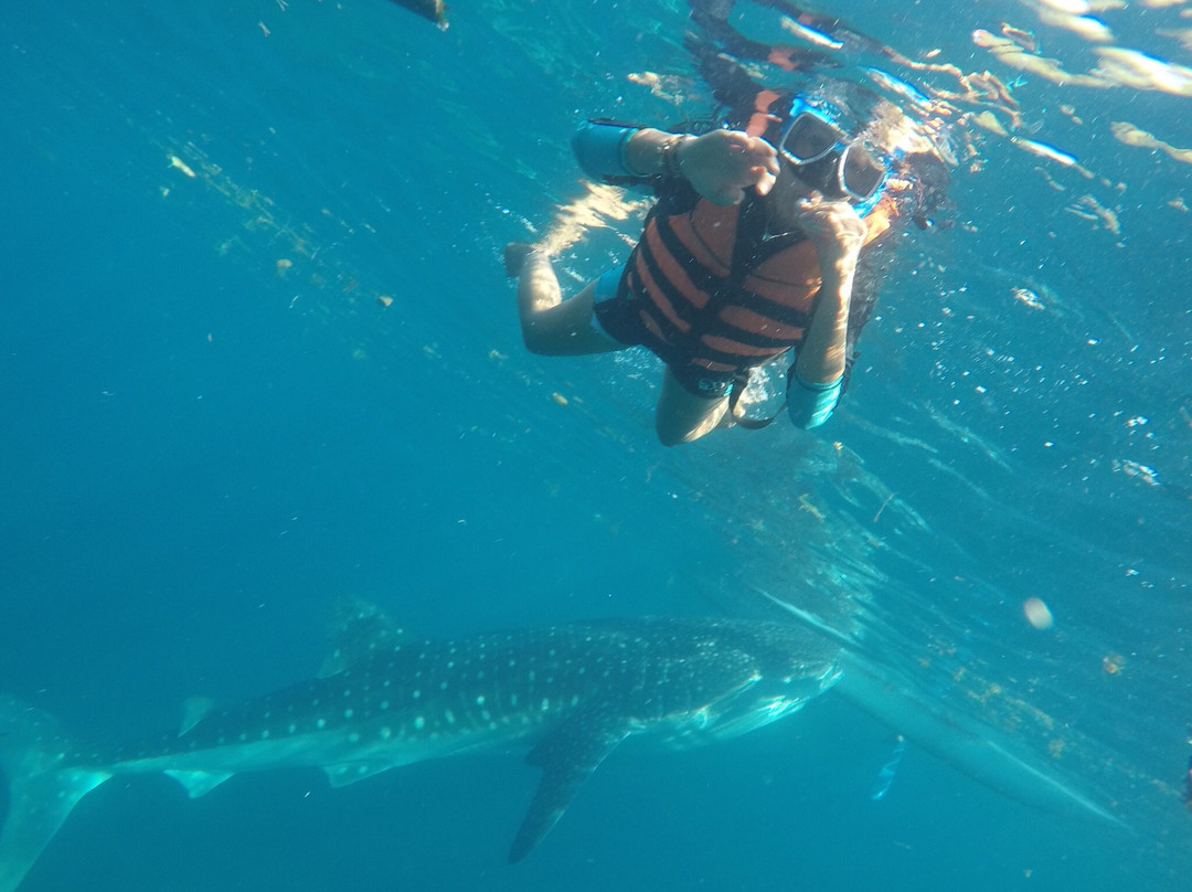 The Beach House主图