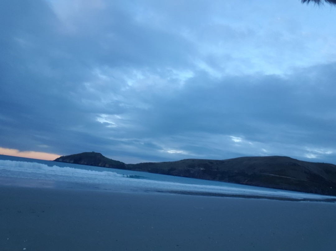 Heyward Point Track-Aramoana必去景点